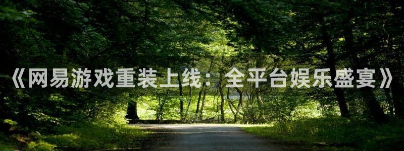 多彩娱乐：《网易游戏重装上线：全平台娱乐盛宴》