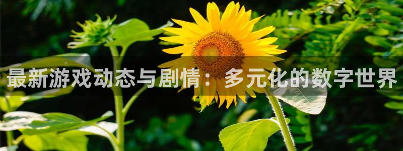 多彩娱乐官网登录：最新游戏动态与剧情：多元化的数字世界