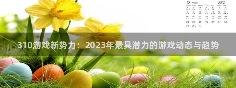 多彩娱乐注册服务条款：310游戏新势力：2023年最具潜力的