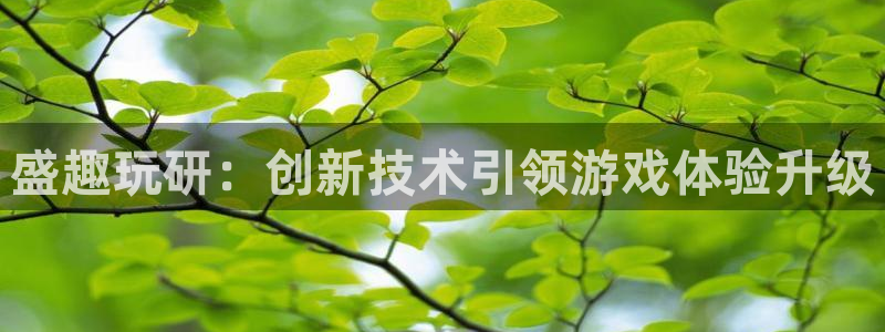 多彩娱乐官网：盛趣玩研：创新技术引领游戏体验升级