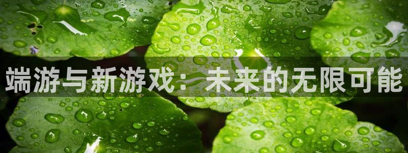 多彩娱乐网页登录入口下载：端游与新游戏：未来的无限可能