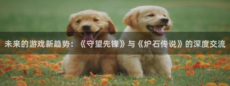 多彩娱乐注册服务条款：未来的游戏新趋势：《守望先锋》与《炉石