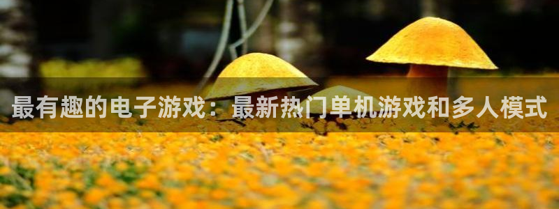 多彩娱乐平台登陆：最有趣的电子游戏：最新热门单机游戏和多人模