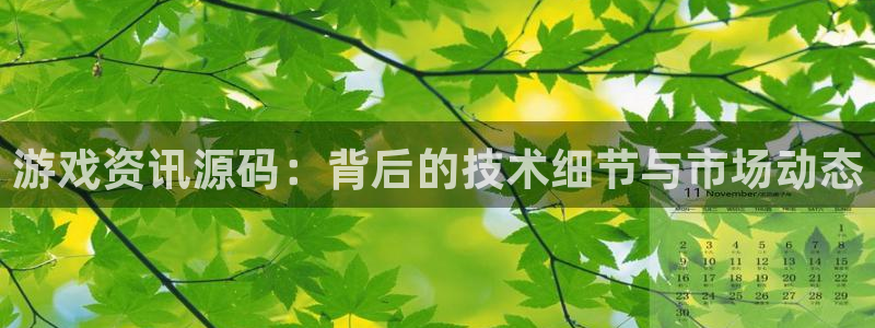 多彩娱乐平台官方网站：游戏资讯源码：背后的技术细节与市场动态