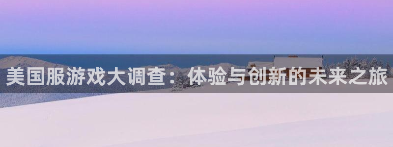 多彩娱乐升级5994月：美国服游戏大调查：体验与创新的未来之