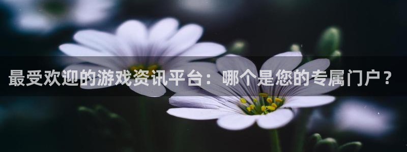 多彩联盟计划官网：最受欢迎的游戏资讯平台：哪个是您的专属门户